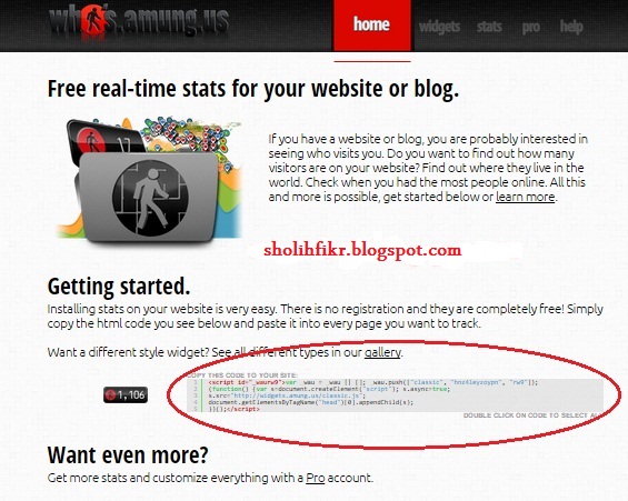 Cara Membuat Tampilan Pengunjung Online di Blog