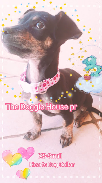 https://thedoggiehousepr.blogspot.com/