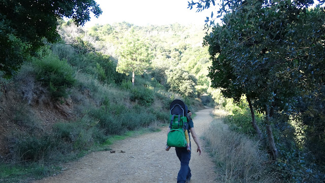 Camí de Sant Cebrià