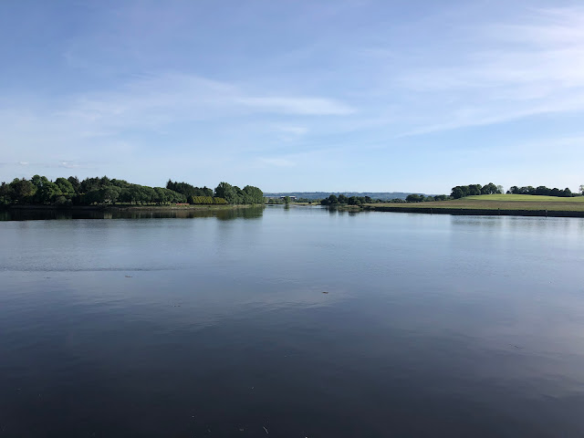 expansive view of clear blue water and clear blue sky with some trees in background