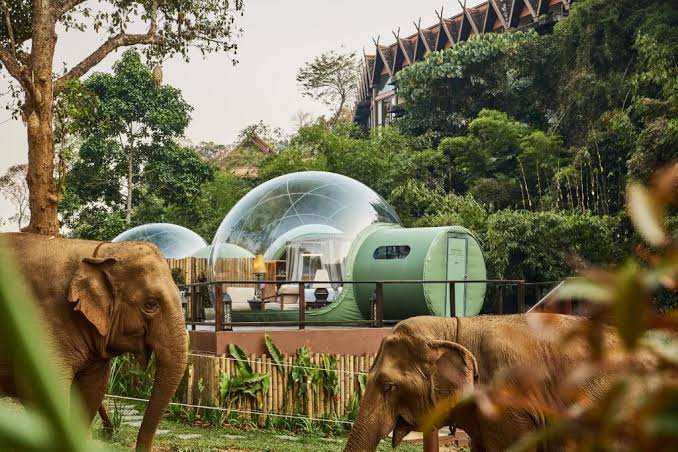 Anantara Golden Triangle Elephant Camp & Resort: