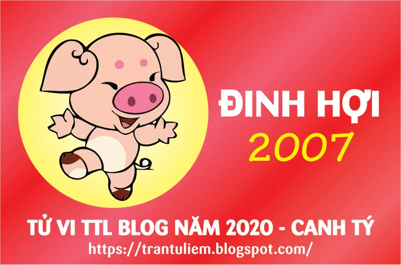 TỬ VI TUỔI ĐINH HợI 2007 NĂM 2020