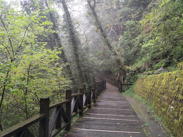 拉拉山國家森林遊樂區 - 步道