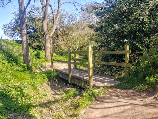 A footbridge over Braughing Bourne