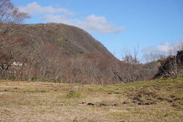 鳥取県日野郡江府町御机 蒜山高原 象山