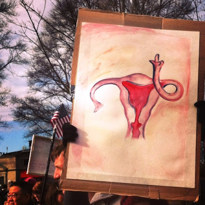 Fallopian Tube Sign, with a message for the GOP  Boston Women's March, January 21, 2017