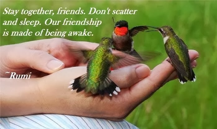 Stay Together - Rumi Quotes on Friendship | Rumi Quotes and Poems