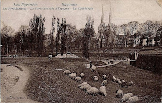 bayonne 1920