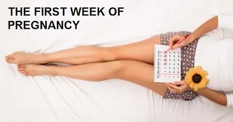 FIRST WEEK OF PREGNANCY