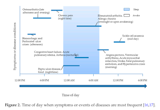 Time of Day When Symptoms are Most Frequent