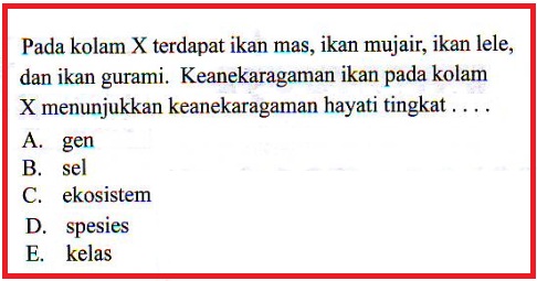 SOAL NO 1 UN 2011 SIMULASI  Beriman,Berilmu,Berakal