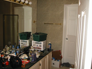 Bathroom Renovation Ideas Bathroom renovation ideas...can you critique or advise