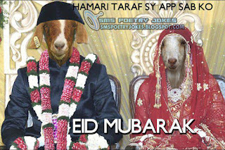 bakra eid funny pic,