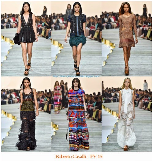 pv15-Roberto Cavalli