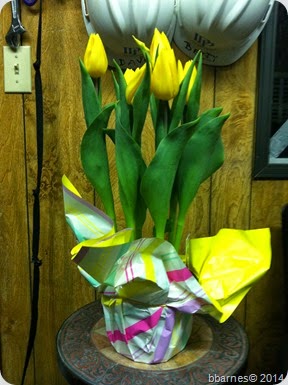 Easter Tulips