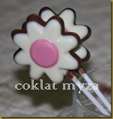 Coklat 16.3.2011 009