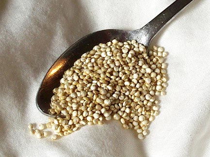 QUINOA: O cereal do séc. XXI