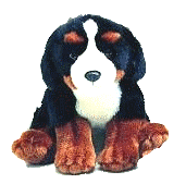 pupazzo bernese