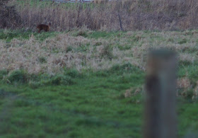 Inspiration from the Norfolk countryside in winter