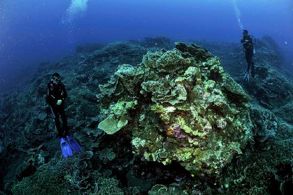 Banda Island is Considered to Be One of the Finest Diving Paradise on Earth