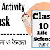 Model Activity Task Class 10 Life Science Question and Answers Part 1