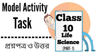 Model Activity Task Class 10 Life Science Question and Answers Part 1