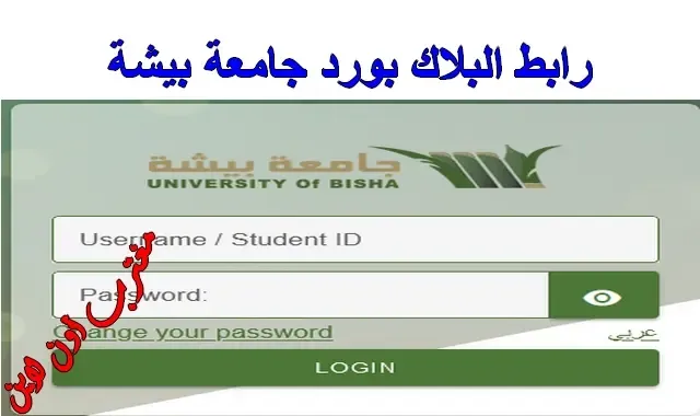 رابط البلاك بورد جامعة بيشة