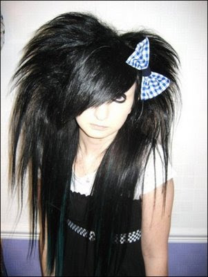 funny kitten_20. scene kids hairstyle