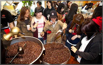 Gangneung : Coffee Festival