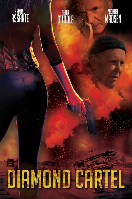 Download Diamond Cartel (2015) Dual Audio (Hindi-English) 480p [400MB] || 720p [800MB] || World MoviesFlix
