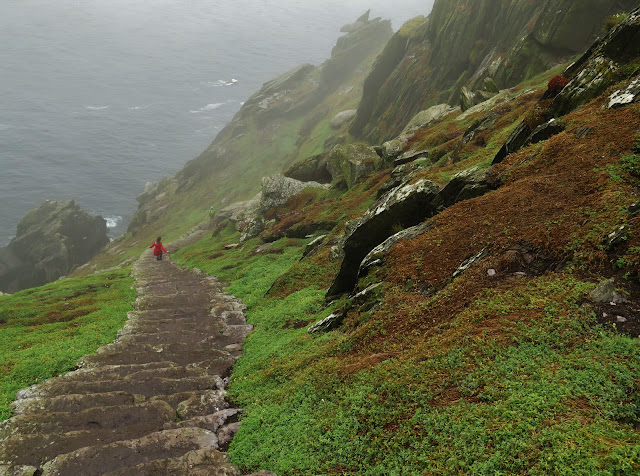 Decending the staircase on Skellig Micheal to the sea, County Kerry, Ireland