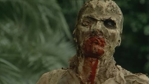 L'Enfer des zombies 1979 vo streaming