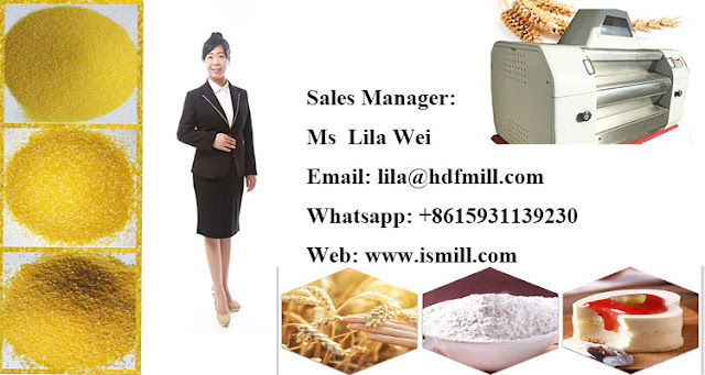 Sales Manager Ms Lila