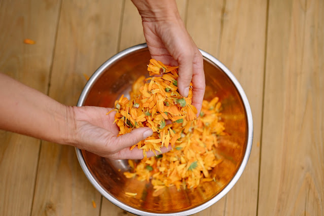 calendula marigold yellow flower petals bowl