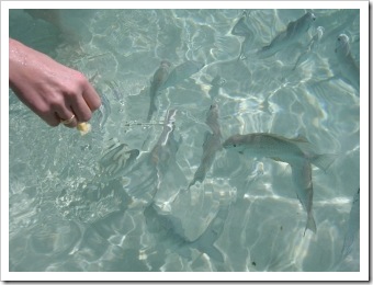 clip_image002