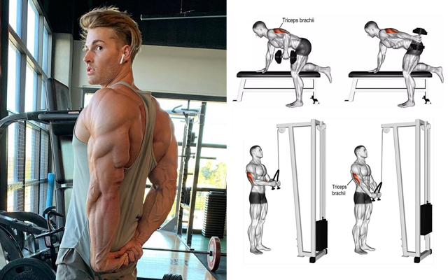 6 Best Tricep Excercises for Muscular Arms