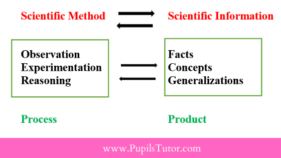 What is the relationship between science as a process and science as a product | product vs process | approaches in science teaching - Pupils Tutor