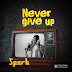 SPARK - NEVER GIVE UP 