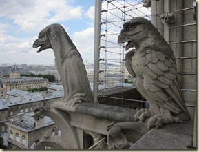 IMG_0486