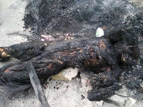 Jungle Justice: Two Ladies Allegedly Stripped and Burnt to Death Over Lesbianism in Makurdi (Graphic Photos)