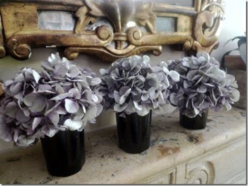 Dried Hydrangeas