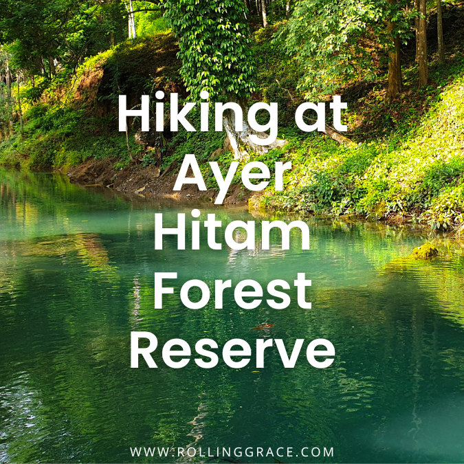 Ayer Hitam Forest Reserve hiking