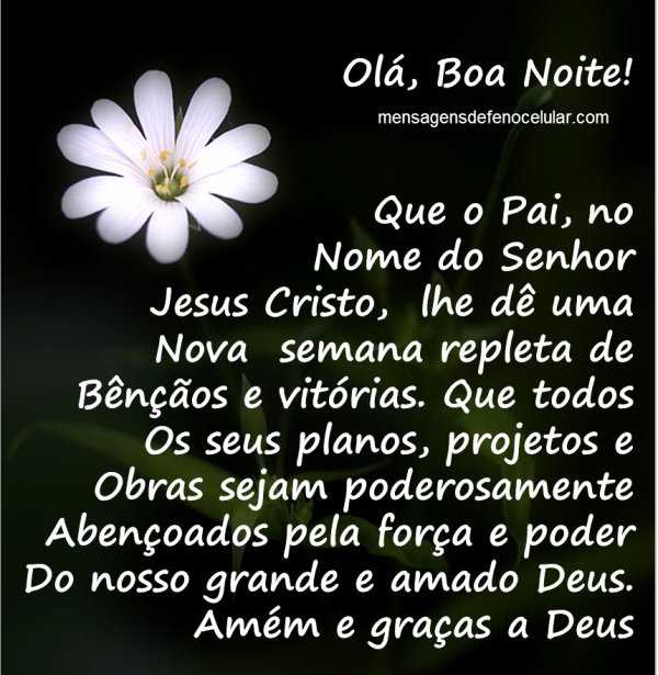 +70 Frases de Boa Noite – Frases para Whats