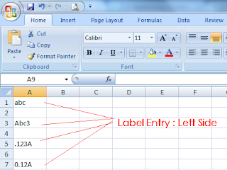 MS-Excel Label entry : Left side align
