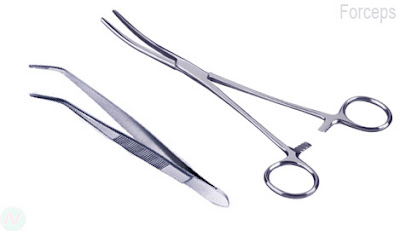 Forceps 