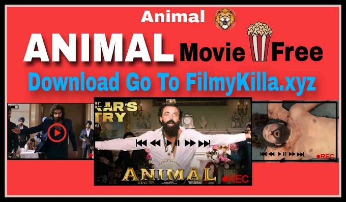 Animal Movie In Hindi Free Download Filmyzilla 720p,480p,1080p