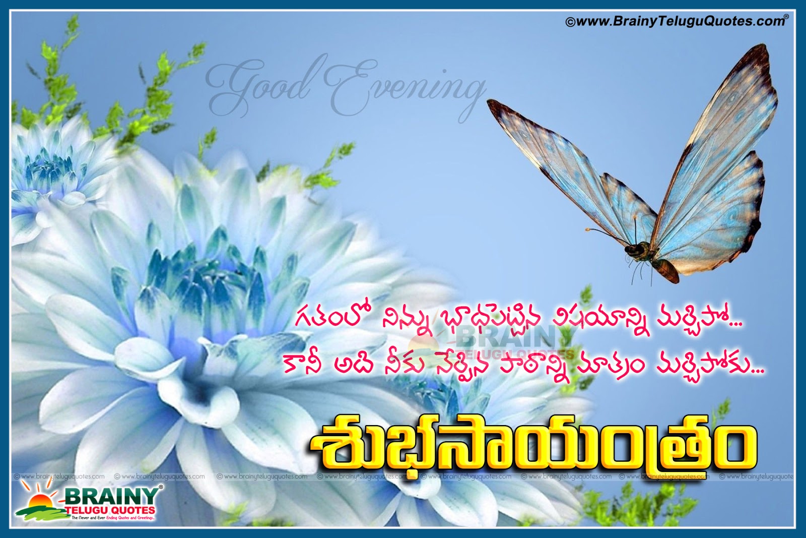 Imagenes De Good Morning Telugu Quotations Videos