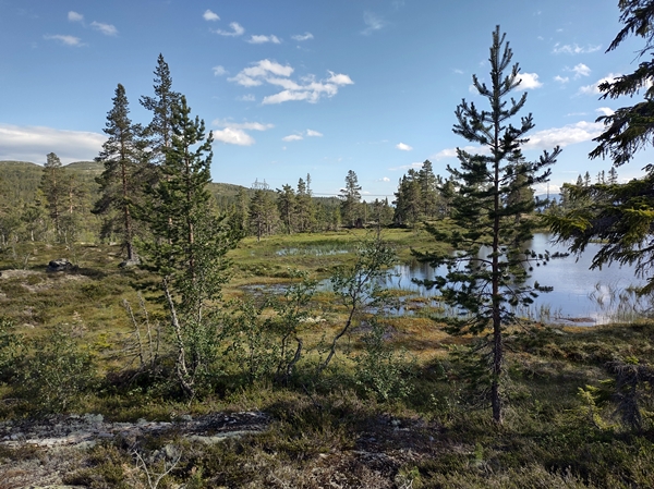 hallingdal flå turufjell stolpejakt