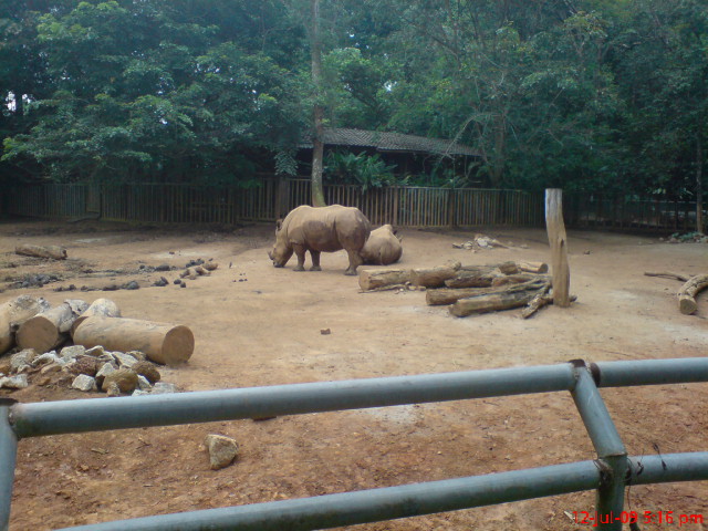 terajubintang7 Zoo Melaka & BTN