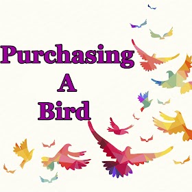 Purchasing A Bird